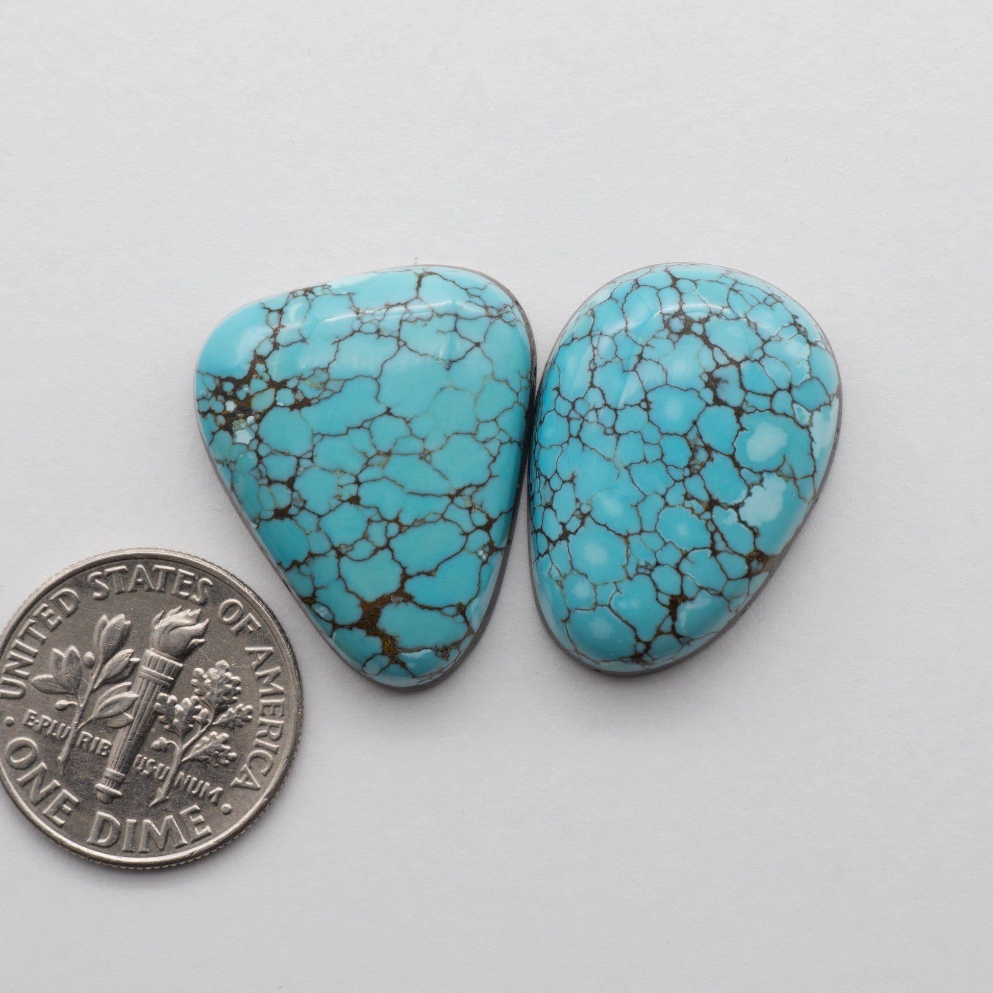 Blue Moon Turquoise Cabochons