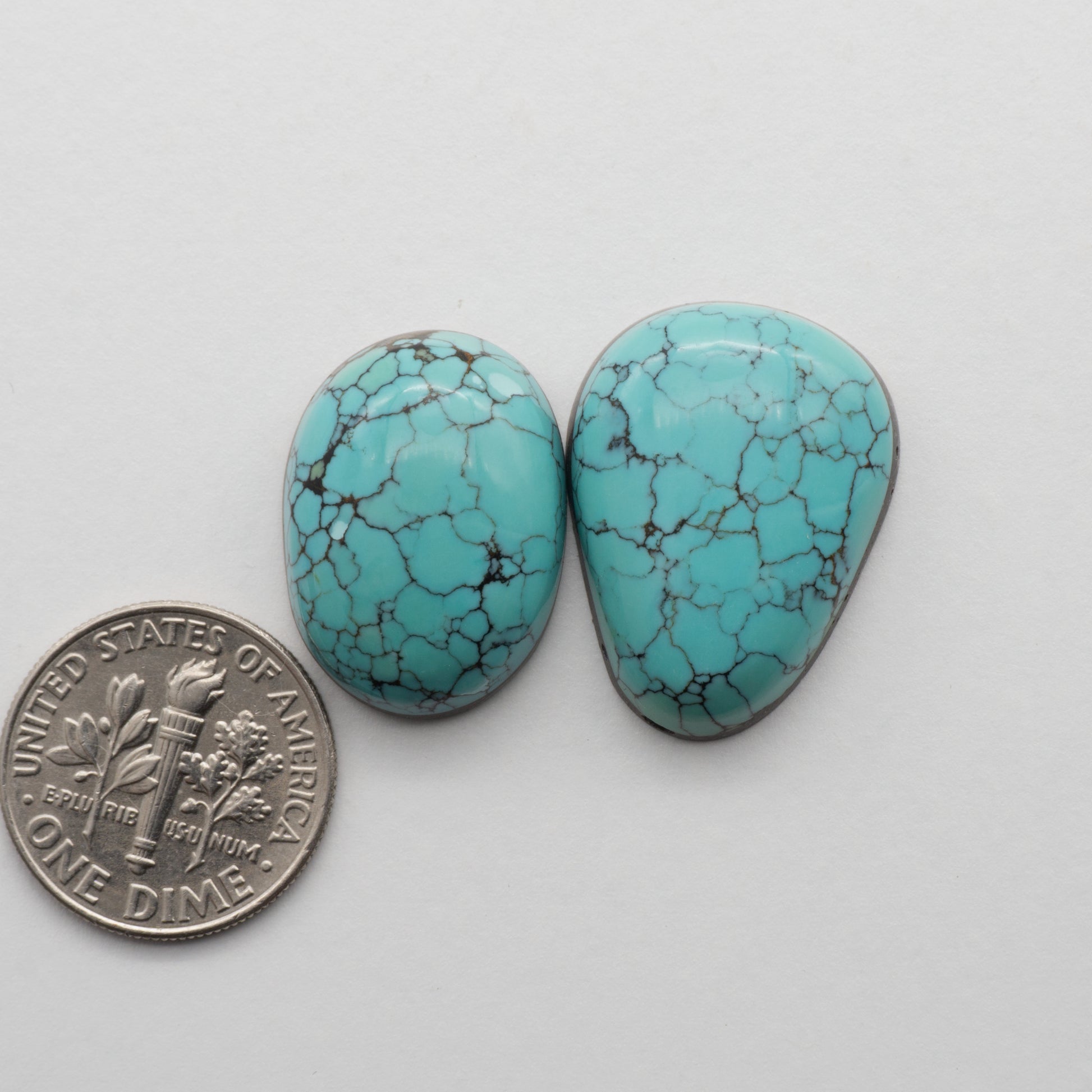Blue Moon Turquoise Cabochons