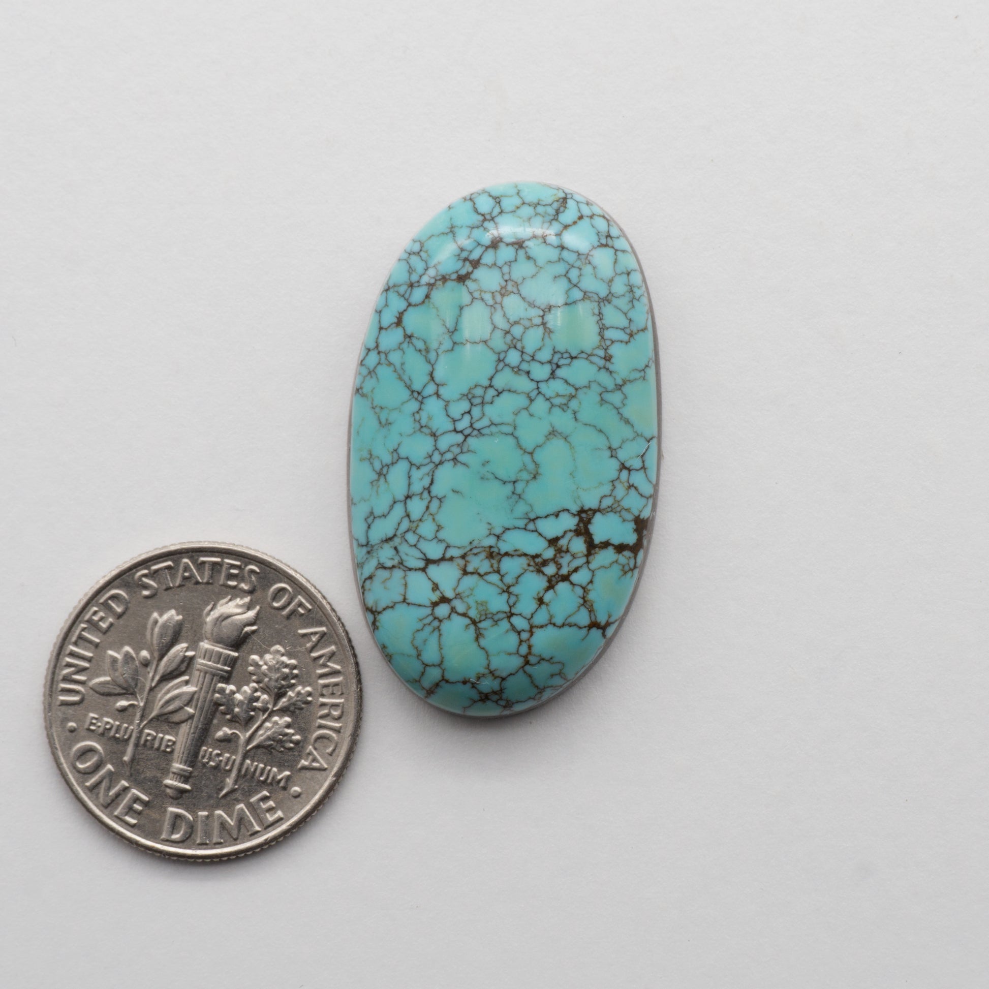 Blue Moon Turquoise Cabochon