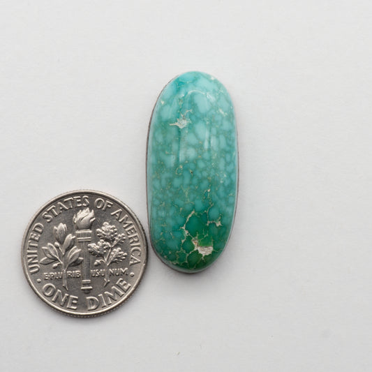 Emerald Valley Turquoise Cabochon Lot