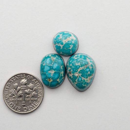 Emerald Valley Turquoise Cabochon Lot
