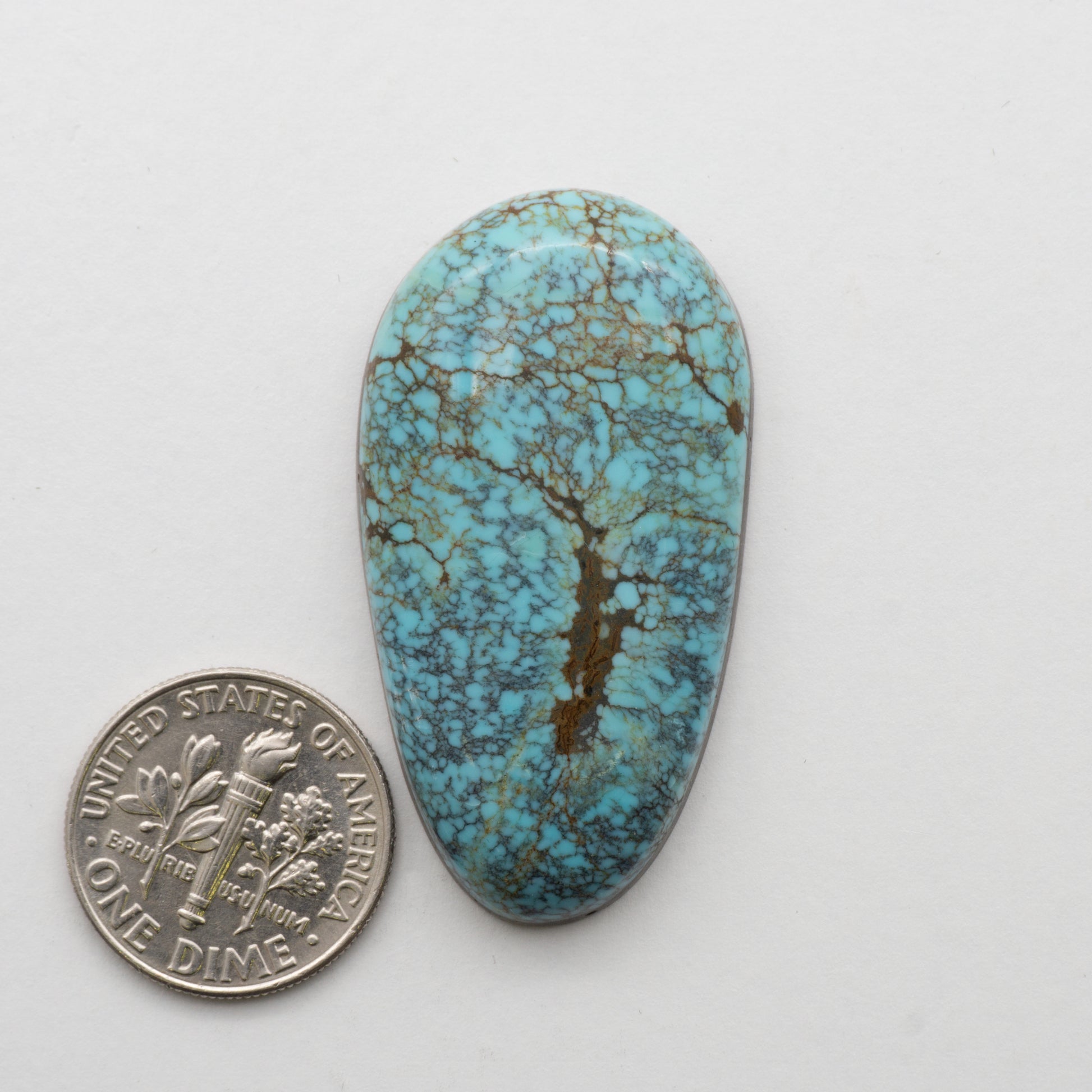 Blue Moon Turquoise cabochon