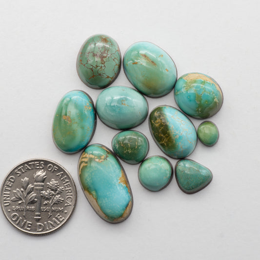Kings Manassa Turquoise