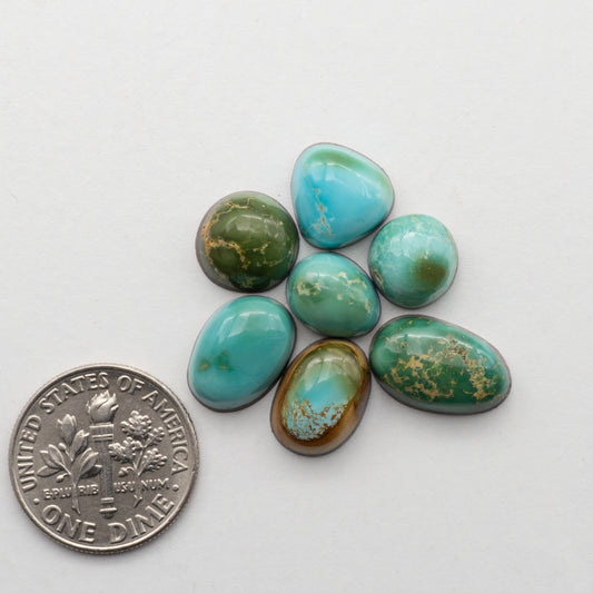 Kings Manassa Turquoise