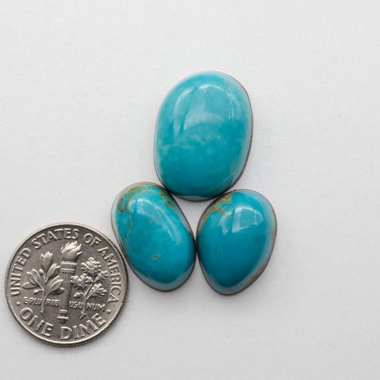 Pilot Mountain Turquoise Cabochons