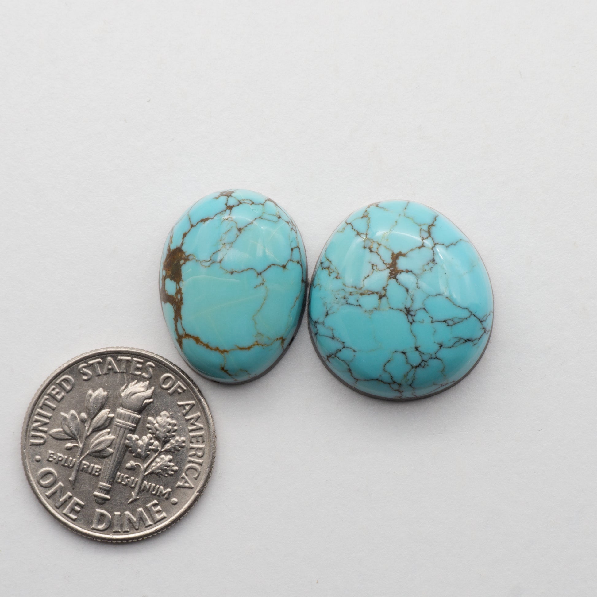 Blue Moon Turquoise Cabochons