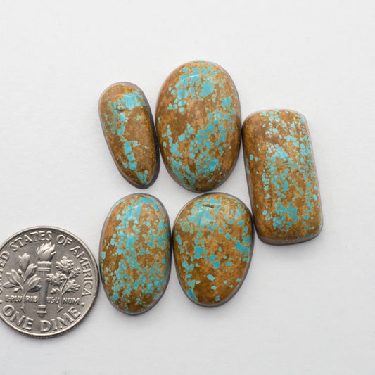 Number 8 Turquoise cabochon